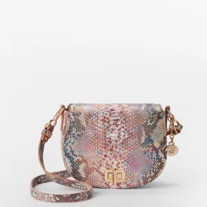 Briar Brahmin