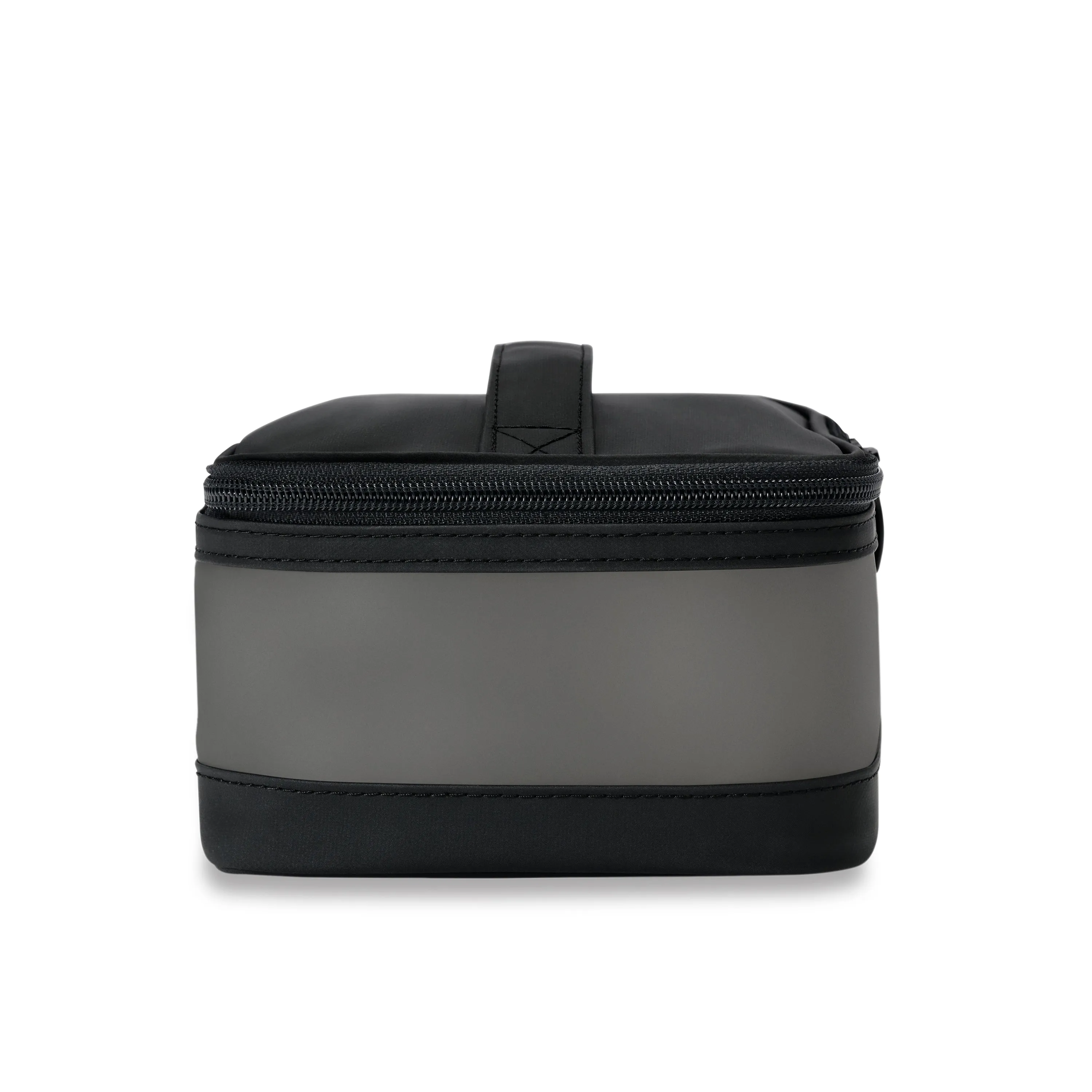 Briggs & Riley Travel Essentials Translucent Essentials Case