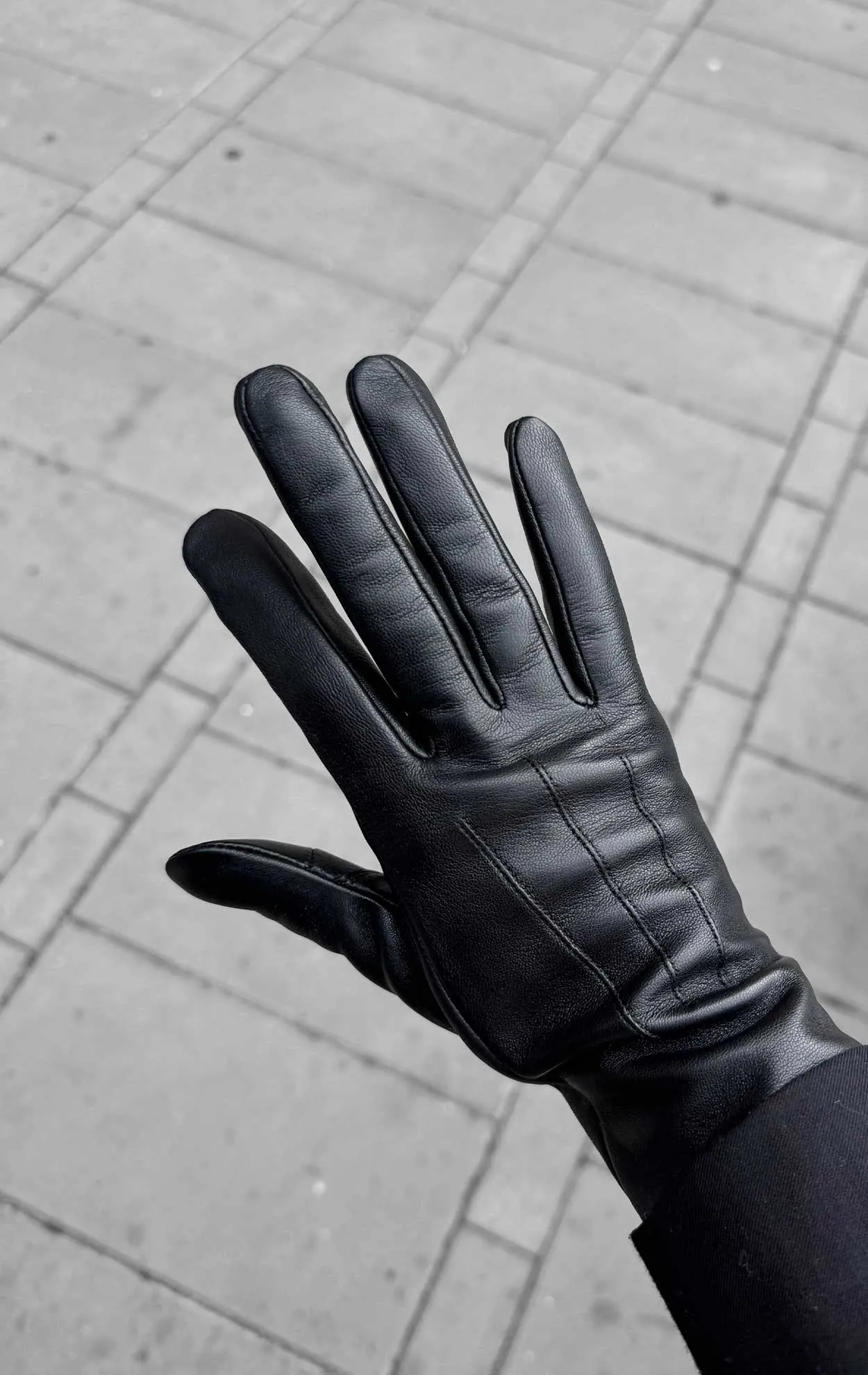 CariannaMBG Gloves