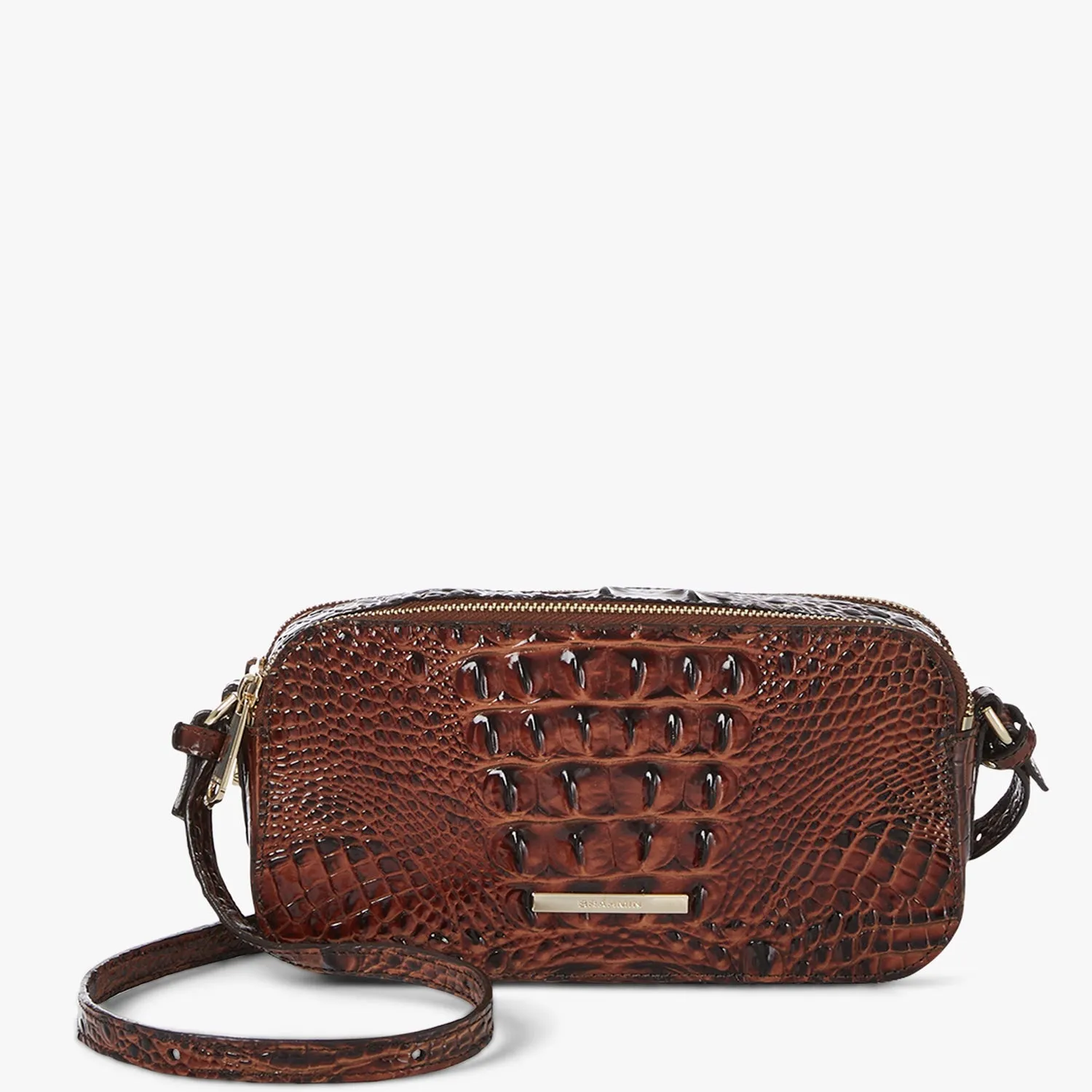 Danica Brahmin