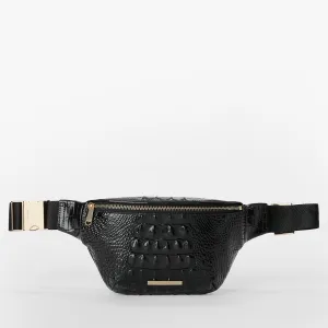 Hollis Brahmin