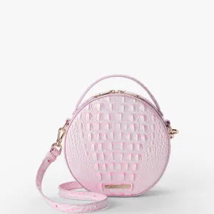 Lane Brahmin