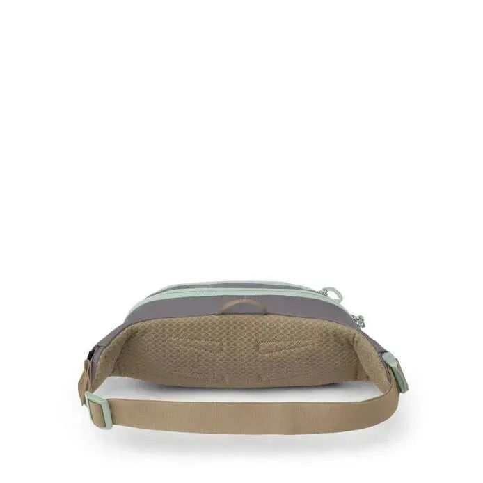 Osprey Daylite Waist