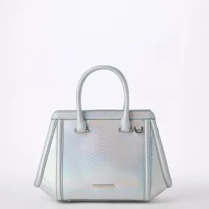 Small Arden Brahmin