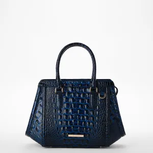 Small Arden Brahmin