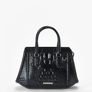 Small Arden Brahmin