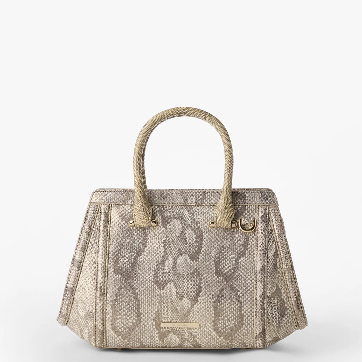 Small Arden Brahmin