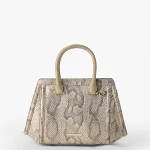 Small Arden Brahmin